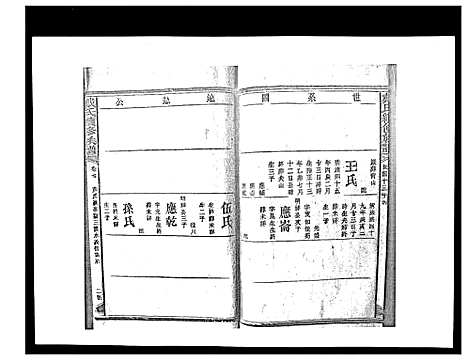 [戴]戴氏九修族谱 (湖南) 戴氏九修家谱_二十八.pdf