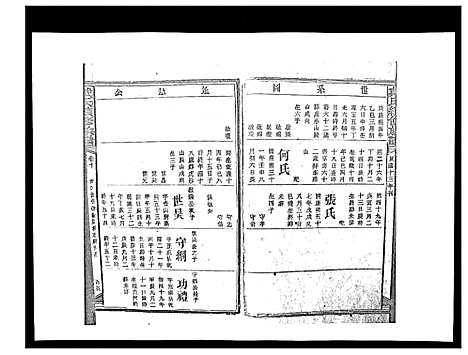 [戴]戴氏九修族谱 (湖南) 戴氏九修家谱_三十一.pdf