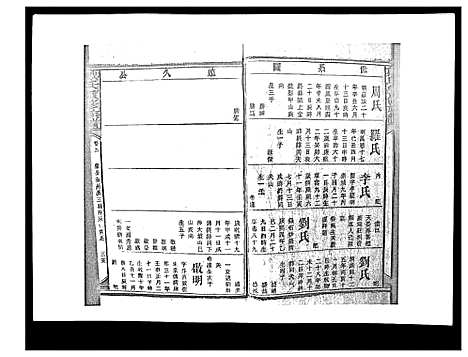 [戴]戴氏九修族谱 (湖南) 戴氏九修家谱_四十.pdf