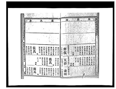 [戴]戴氏九修族谱 (湖南) 戴氏九修家谱_四十五.pdf