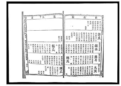 [戴]戴氏九修族谱 (湖南) 戴氏九修家谱_四十九.pdf