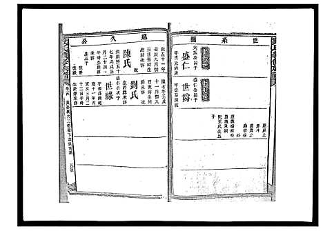 [戴]戴氏九修族谱 (湖南) 戴氏九修家谱_四十九.pdf