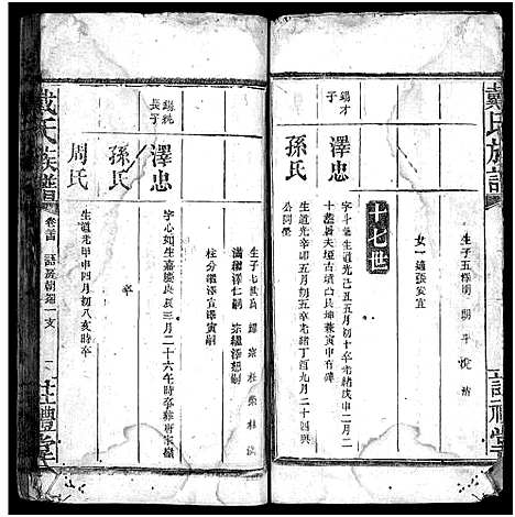 [戴]戴氏族谱_33卷 (湖南) 戴氏家谱_二十.pdf