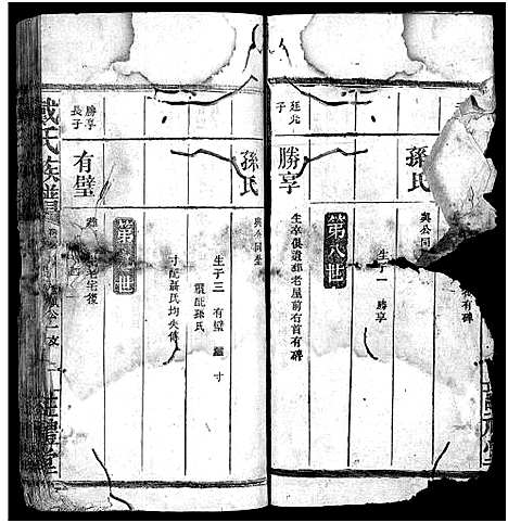 [戴]戴氏族谱_33卷 (湖南) 戴氏家谱_二十八.pdf