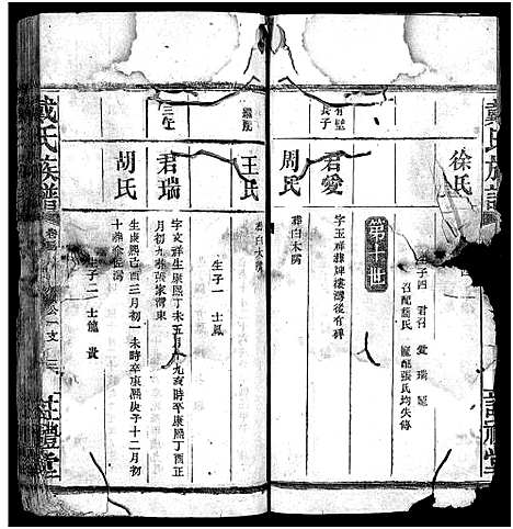 [戴]戴氏族谱_33卷 (湖南) 戴氏家谱_二十八.pdf