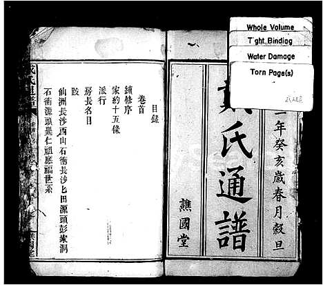 [戴]戴氏通谱_14卷首1卷 (湖南) 戴氏通谱_一.pdf