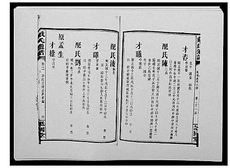 [戴]戴氏通谱世系_世系12卷_世编78卷首4卷 (湖南) 戴氏通谱_十八.pdf