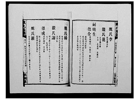 [戴]戴氏通谱世系_世系12卷_世编78卷首4卷 (湖南) 戴氏通谱_二十一.pdf