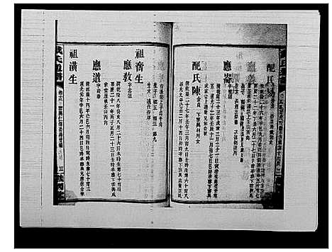 [戴]戴氏通谱世系_世系12卷_世编78卷首4卷 (湖南) 戴氏通谱_二十九.pdf