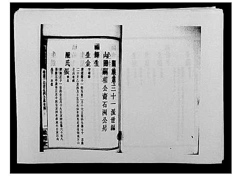 [戴]戴氏通谱世系_世系12卷_世编78卷首4卷 (湖南) 戴氏通谱_三十八.pdf