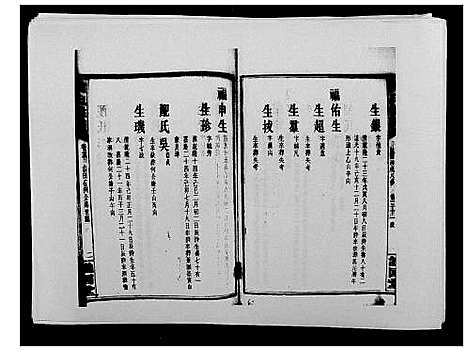 [戴]戴氏通谱世系_世系12卷_世编78卷首4卷 (湖南) 戴氏通谱_三十八.pdf