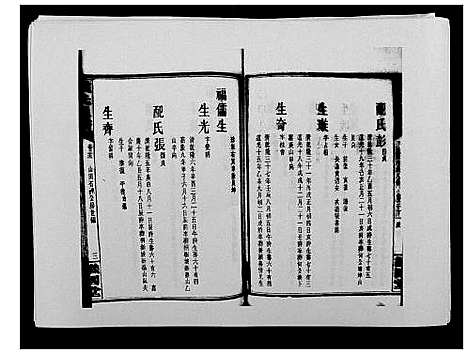 [戴]戴氏通谱世系_世系12卷_世编78卷首4卷 (湖南) 戴氏通谱_三十八.pdf