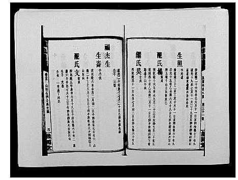 [戴]戴氏通谱世系_世系12卷_世编78卷首4卷 (湖南) 戴氏通谱_三十八.pdf