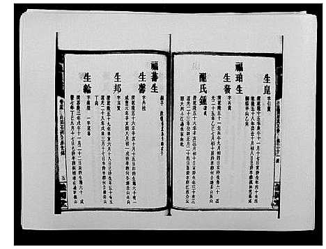 [戴]戴氏通谱世系_世系12卷_世编78卷首4卷 (湖南) 戴氏通谱_三十八.pdf