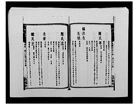 [戴]戴氏通谱世系_世系12卷_世编78卷首4卷 (湖南) 戴氏通谱_三十九.pdf