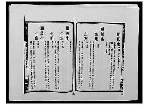 [戴]戴氏通谱世系_世系12卷_世编78卷首4卷 (湖南) 戴氏通谱_四十.pdf