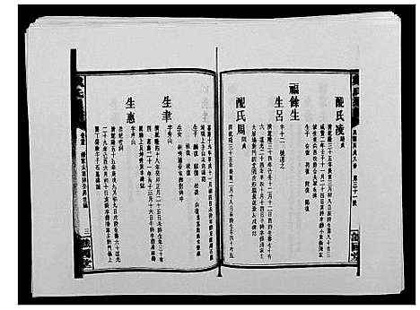 [戴]戴氏通谱世系_世系12卷_世编78卷首4卷 (湖南) 戴氏通谱_四十一.pdf