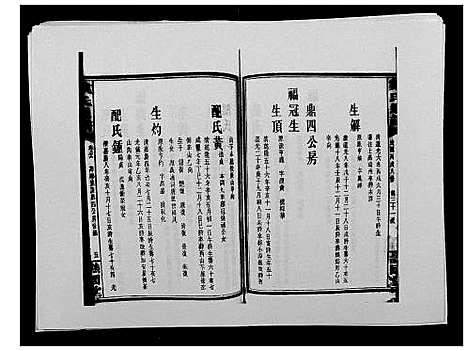 [戴]戴氏通谱世系_世系12卷_世编78卷首4卷 (湖南) 戴氏通谱_四十二.pdf