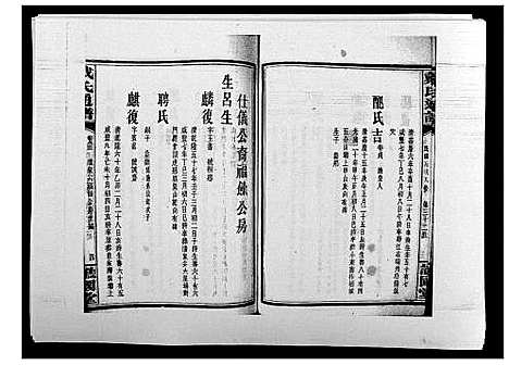 [戴]戴氏通谱世系_世系12卷_世编78卷首4卷 (湖南) 戴氏通谱_四十九.pdf