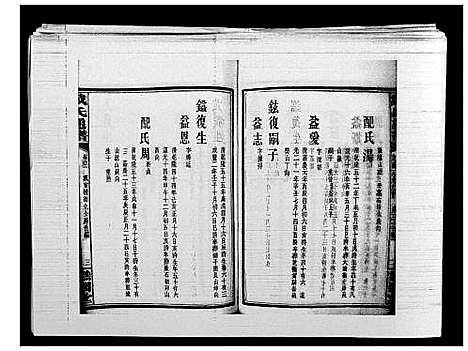 [戴]戴氏通谱世系_世系12卷_世编78卷首4卷 (湖南) 戴氏通谱_五十七.pdf