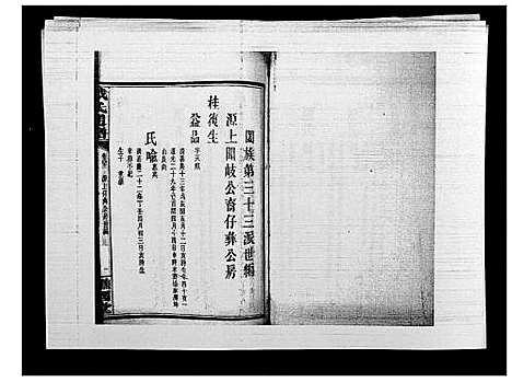 [戴]戴氏通谱世系_世系12卷_世编78卷首4卷 (湖南) 戴氏通谱_五十八.pdf