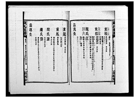 [戴]戴氏通谱世系_世系12卷_世编78卷首4卷 (湖南) 戴氏通谱_A069.pdf