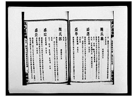 [戴]戴氏通谱世系_世系12卷_世编78卷首4卷 (湖南) 戴氏通谱_A087.pdf