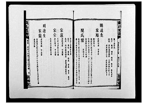 [戴]戴氏通谱世系_世系12卷_世编78卷首4卷 (湖南) 戴氏通谱_A090.pdf