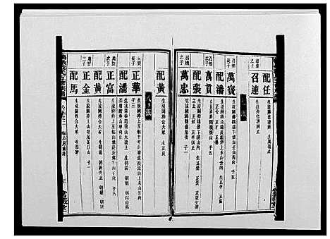 [戴]鹤岭戴氏 (湖南) 鹤岭戴氏_四.pdf