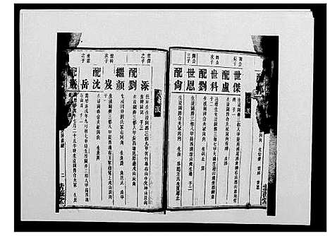 [戴]鹤岭戴氏 (湖南) 鹤岭戴氏_八.pdf