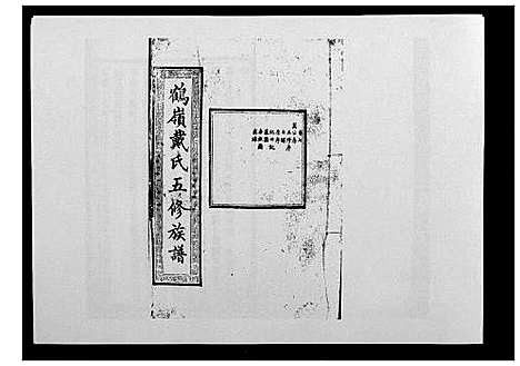 [戴]鹤岭戴氏 (湖南) 鹤岭戴氏_九.pdf