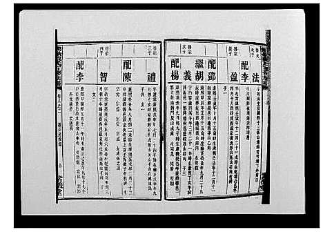 [戴]鹤岭戴氏 (湖南) 鹤岭戴氏_十一.pdf