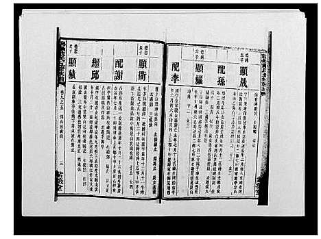 [戴]鹤岭戴氏 (湖南) 鹤岭戴氏_十六.pdf