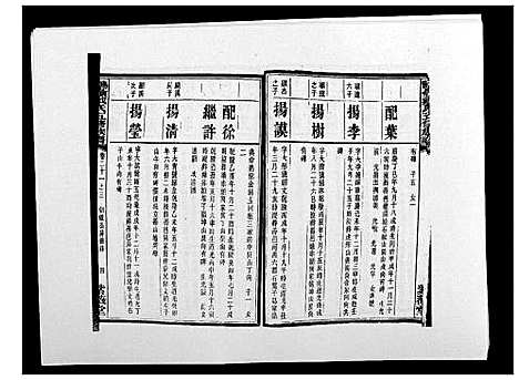 [戴]鹤岭戴氏 (湖南) 鹤岭戴氏_三十七.pdf