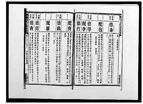 [戴]鹤岭戴氏 (湖南) 鹤岭戴氏_四十.pdf