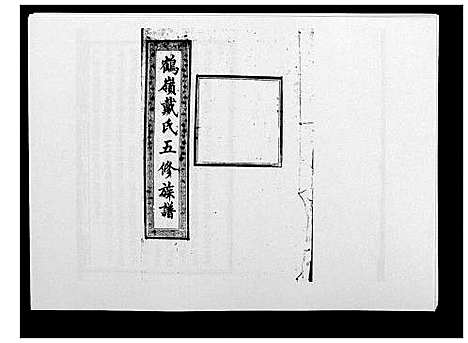 [戴]鹤岭戴氏 (湖南) 鹤岭戴氏_四十一.pdf