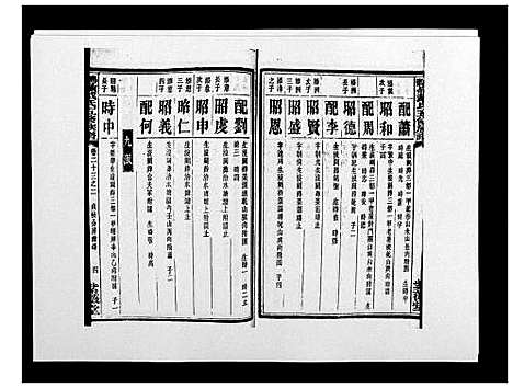 [戴]鹤岭戴氏 (湖南) 鹤岭戴氏_四十二.pdf