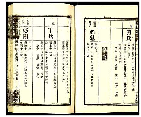 [邓]邓氏家谱 (湖南) 邓氏家谱_十.pdf