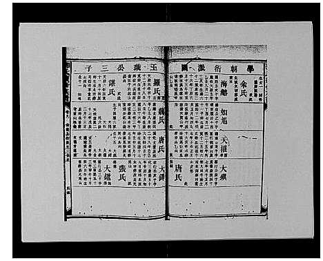 [邓]邓氏族谱_46卷首2卷 (湖南) 邓氏家谱_二.pdf