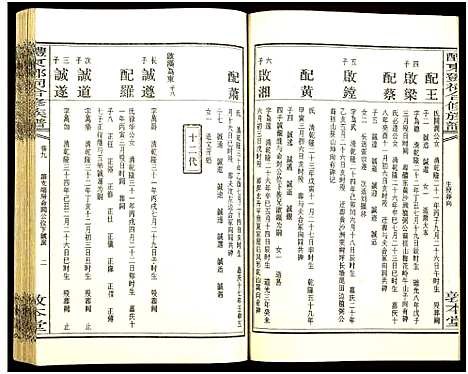 [邓]醴东邓氏祠合修族谱 (湖南) 醴东邓氏祠合修家谱_十一.pdf