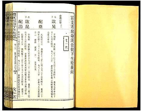 [邓]醴东邓氏祠合修族谱 (湖南) 醴东邓氏祠合修家谱_三十.pdf