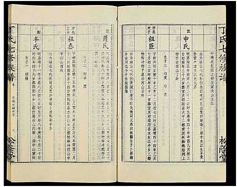 [丁]丁氏七修族谱_20卷 (湖南) 丁氏七修家谱_十七.pdf