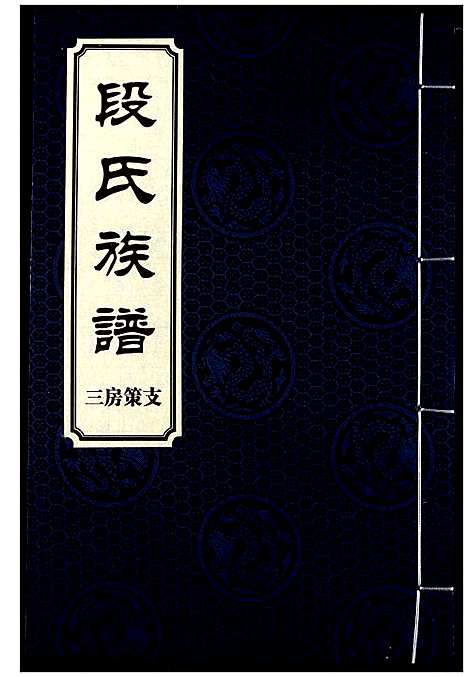 [段]段氏族谱 (湖南) 段氏家谱_八.pdf