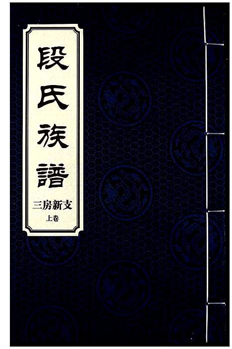 [段]段氏族谱 (湖南) 段氏家谱_十.pdf