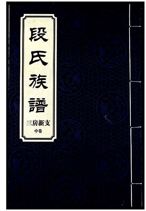 [段]段氏族谱 (湖南) 段氏家谱_十一.pdf