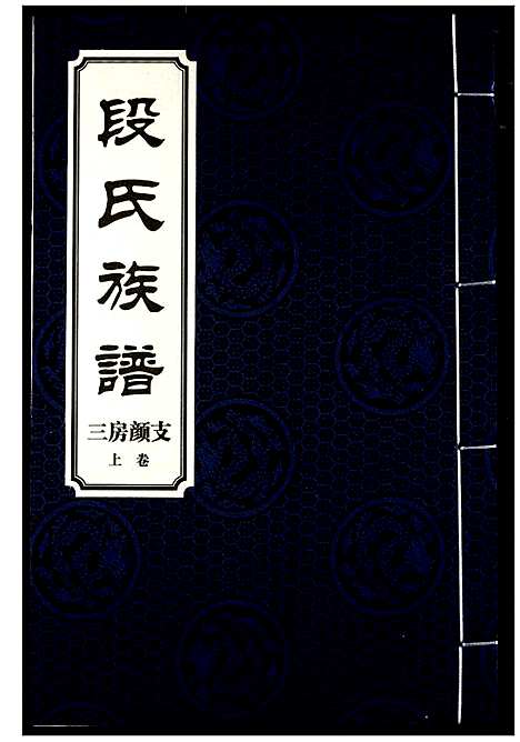 [段]段氏族谱 (湖南) 段氏家谱_十九.pdf