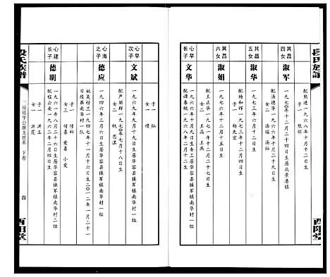 [段]段氏族谱 (湖南) 段氏家谱_二十.pdf