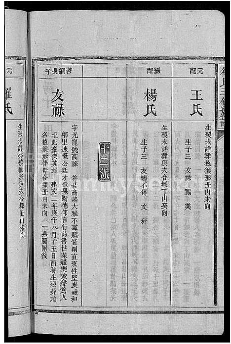 [符]符氏三修族谱_总卷数不详 (湖南) 符氏三修家谱_一.pdf