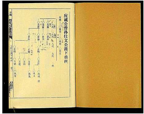 [郭]郭氏族谱_13卷及卷首-龙返郭氏族志_双峰龙返郭氏四修族志 (湖南) 郭氏家谱_三.pdf