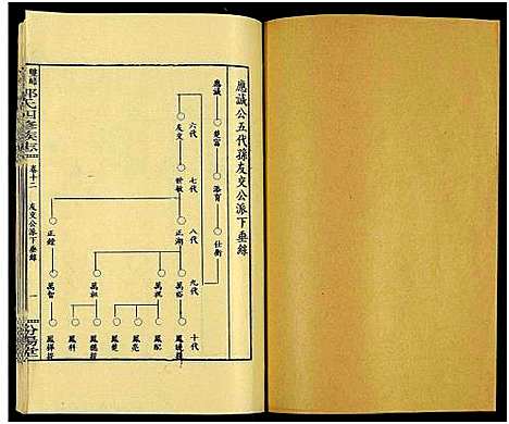 [郭]郭氏族谱_13卷及卷首-龙返郭氏族志_双峰龙返郭氏四修族志 (湖南) 郭氏家谱_十二.pdf